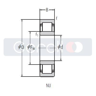 NU 215 ETC3