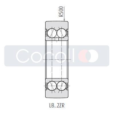 LB 3201 B-2ZRSTNG NSK